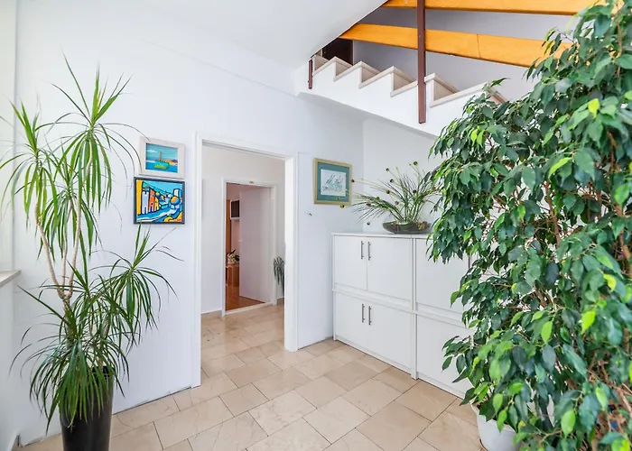 Sokol Apartment